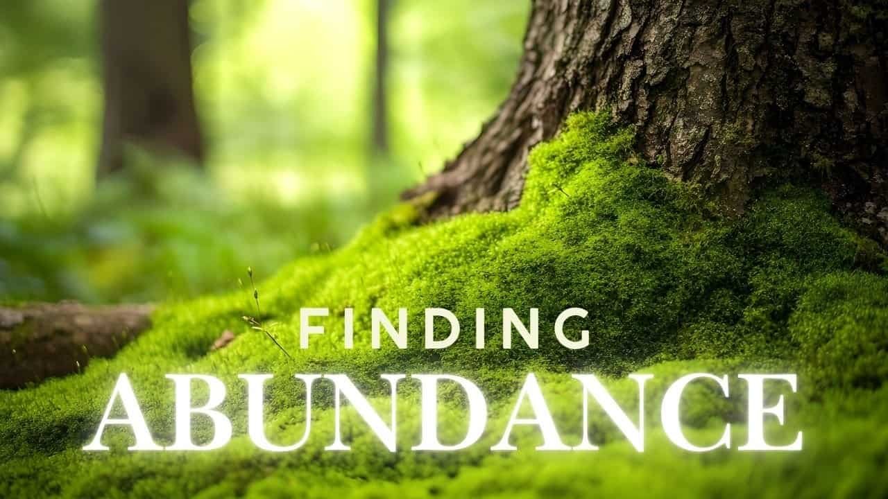 What's Your Scarcity Pattern?